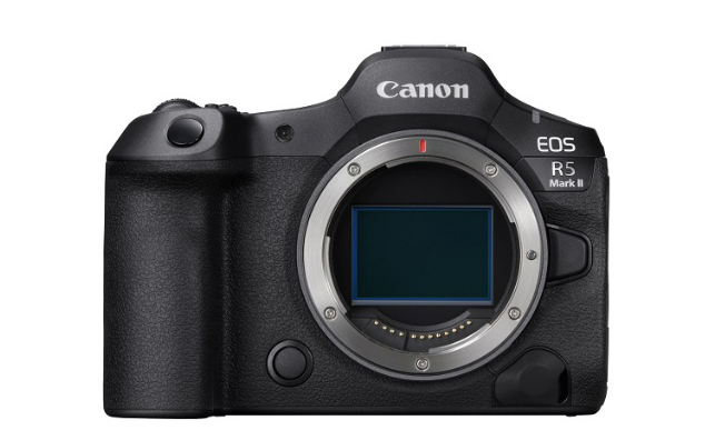 EOS R5 mark IIで野鳥撮影 ５ヶ月レビュー＆撮影のコツ