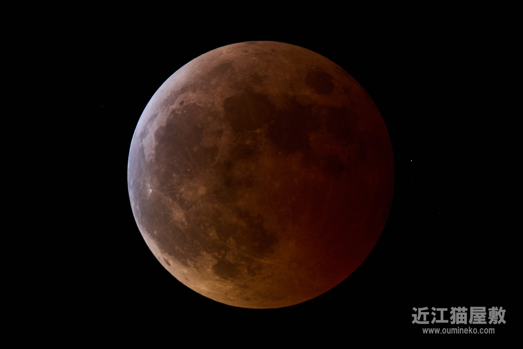 EOS R7 + EF800mm F5.6L IS USM 皆既月食