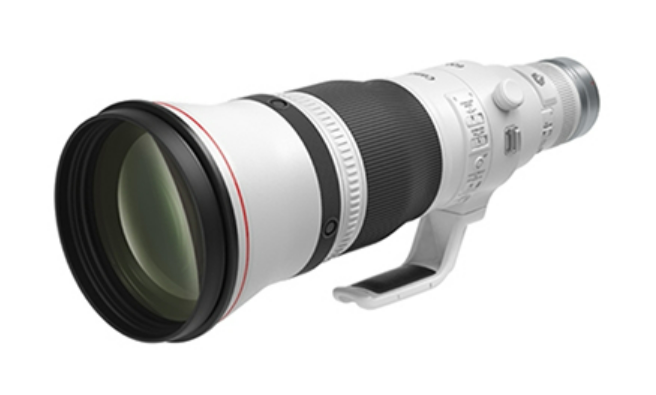 EOS R5 mark II + RF600mm F4L IS USM カワセミ撮影 試行錯誤中