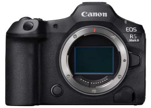EOS R5 mark IIで野鳥撮影 ファームウェア1.0.3のAF機能に問題？