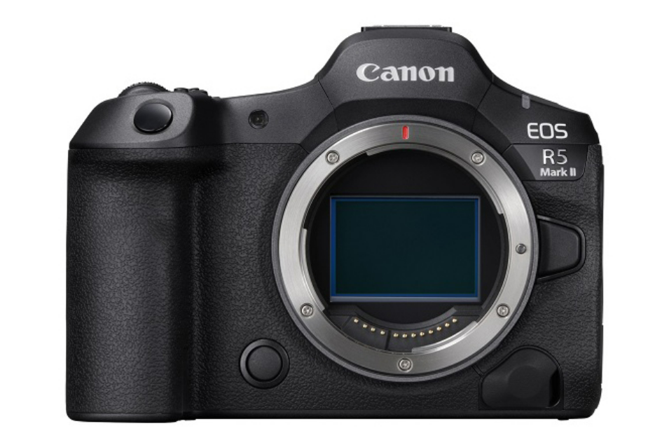 EOS R5 mark IIで野鳥撮影 カワセミ撮影のヒント(初心者向け)