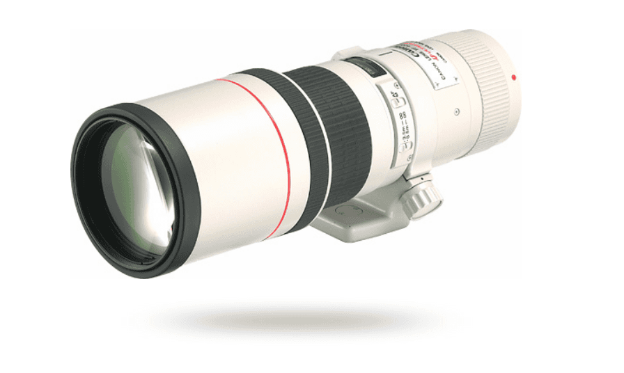 EOS R7で野鳥撮影 EFレンズを使ってみる