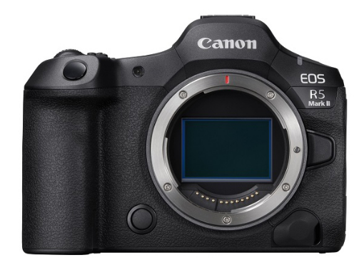 EOS R5 mark IIで野鳥撮影 RF600mm F4L IS USM 3ヶ月レビュー | 近江