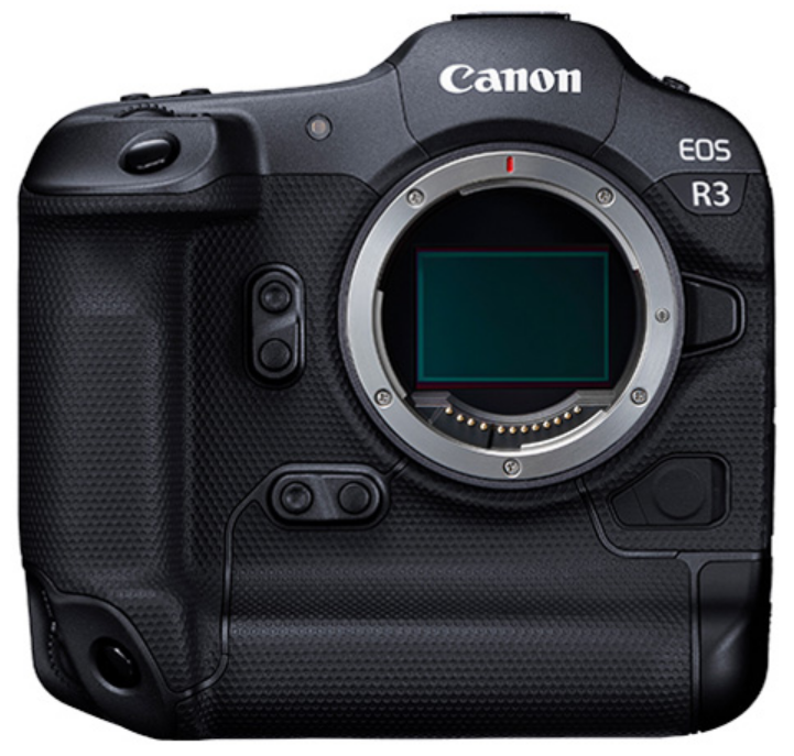 EOS R3で野鳥撮影 RF200-800mm, EF800mmでの撮影所感