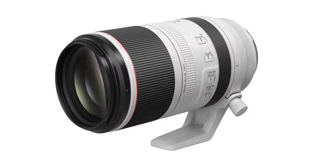 EOSで野鳥撮影 RF100-500mm F4.5-7.1L IS USM入院