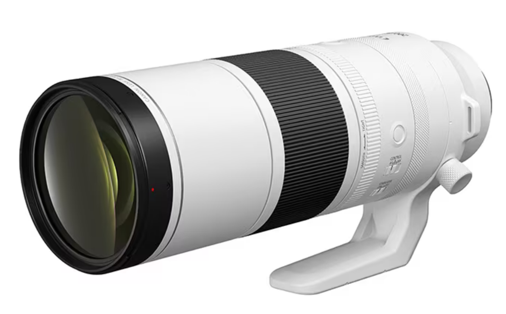 RF200-800mm F6.3-9 IS USM １ヶ月レビュー＆撮影のコツ