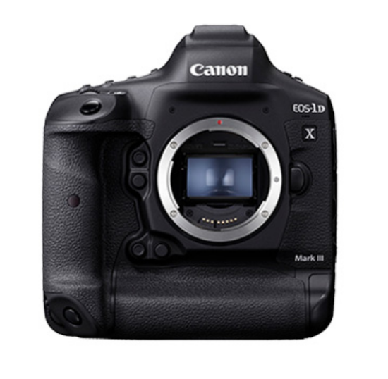 EOS-1D X mark IIIでカワセミ撮影のススメ