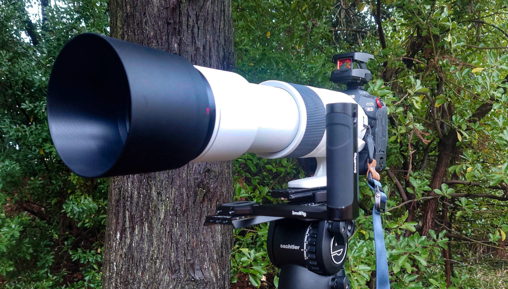 EOS R3,R7で野鳥撮影 使用アクセサリ紹介