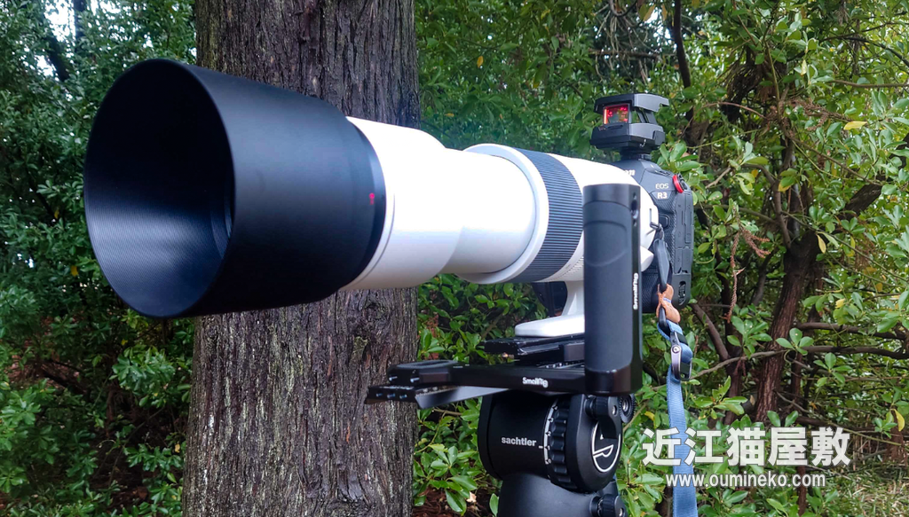 EOS R3,R7で野鳥撮影 使用アクセサリ紹介