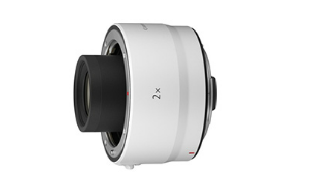 EOSで野鳥撮影 600mm/800mmレンジの大砲レンズ+RF Extenderの画質