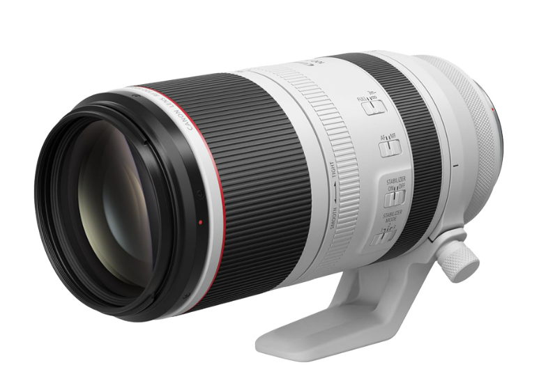 EOSで野鳥撮影 RF100-500mm F4.5-7.1L IS USM検証など(初心者向け