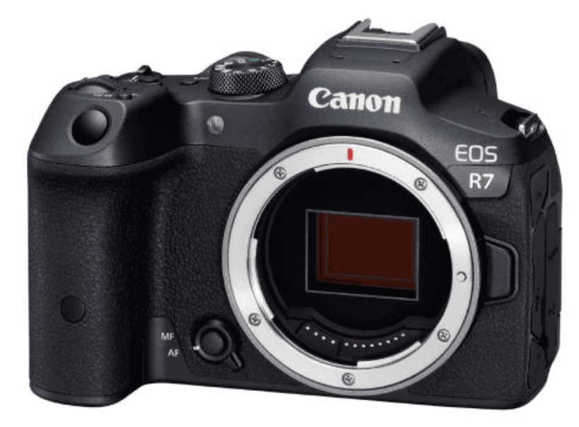 野鳥撮影 2022年総括、2023年予想と抱負