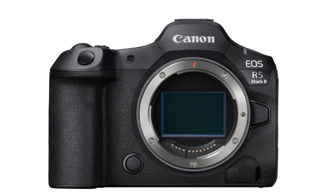 EOS R5 mark IIで野鳥撮影 ファームウェア1.0.2
