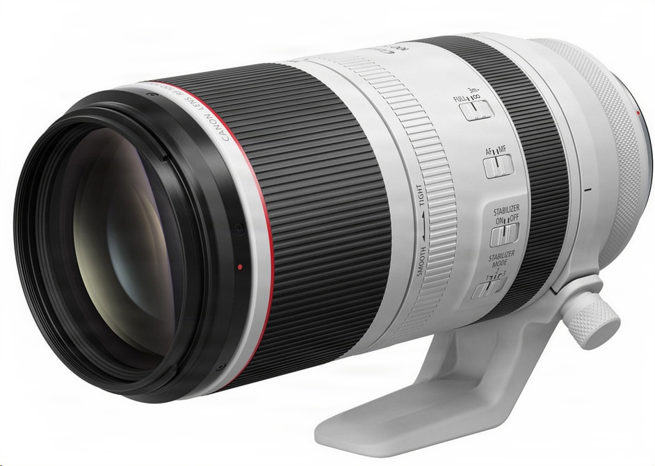 R5 + RF100-500mm F4.5-7.1 L IS USM 試し撮り part.1