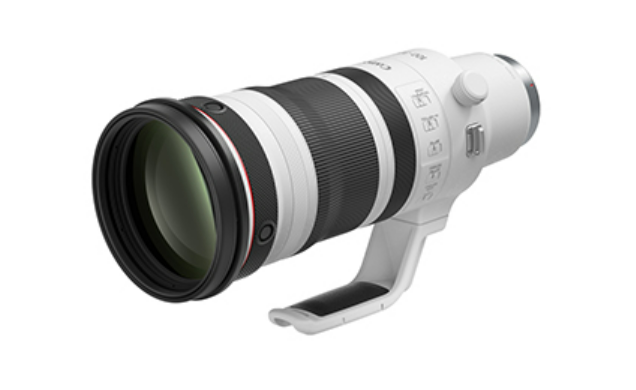 EOSで野鳥撮影 RF300-600mm F5.6L IS USMの噂