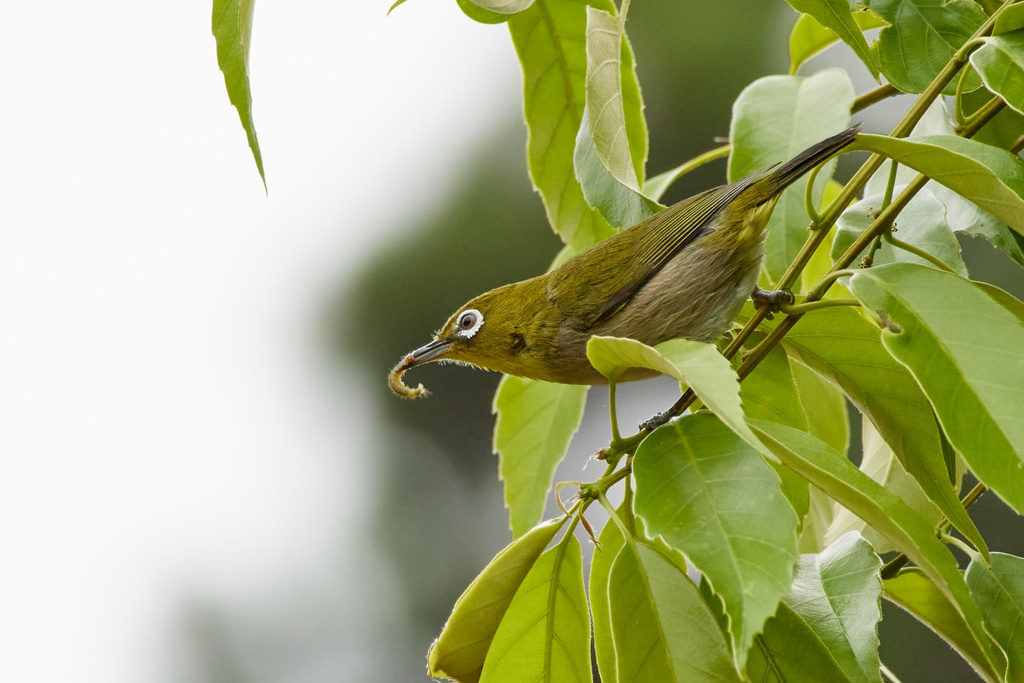 近場のロケハン part.2