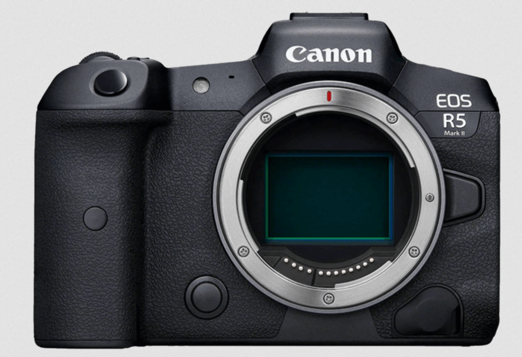 EOSで野鳥撮影 気になる噂 EOS R5 mark II、SIGMA/TAMRON