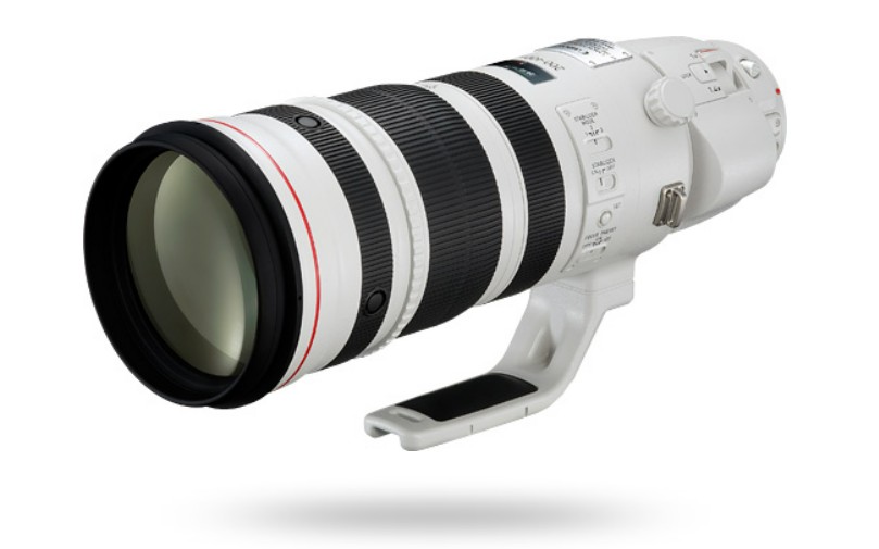 RF200-500mm F4L IS USMの噂