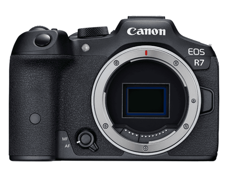 EOS R7でカワセミ撮影 年始修行 結果