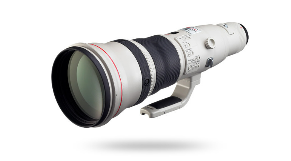 EOS R5 mark IIで野鳥撮影 古いEFレンズで連写速度を稼ぐ方法 (RFレンズの場合の追記あり)