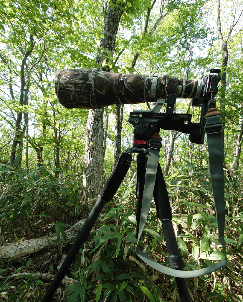 大砲(RF600F4L)運用にあたってのアドバイス